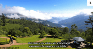 100+ Best Ooty Captions for Instagram That Capture the Magic of the Hills