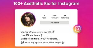 100+ Aesthetic Bio for Instagram: Ideas to Stand Out